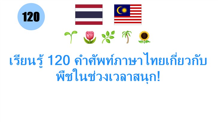 เรียนรู้ 120 คำศัพท์ภาษาไทยเกี่ยวกับพืชในช่วงเวลาสนุก!